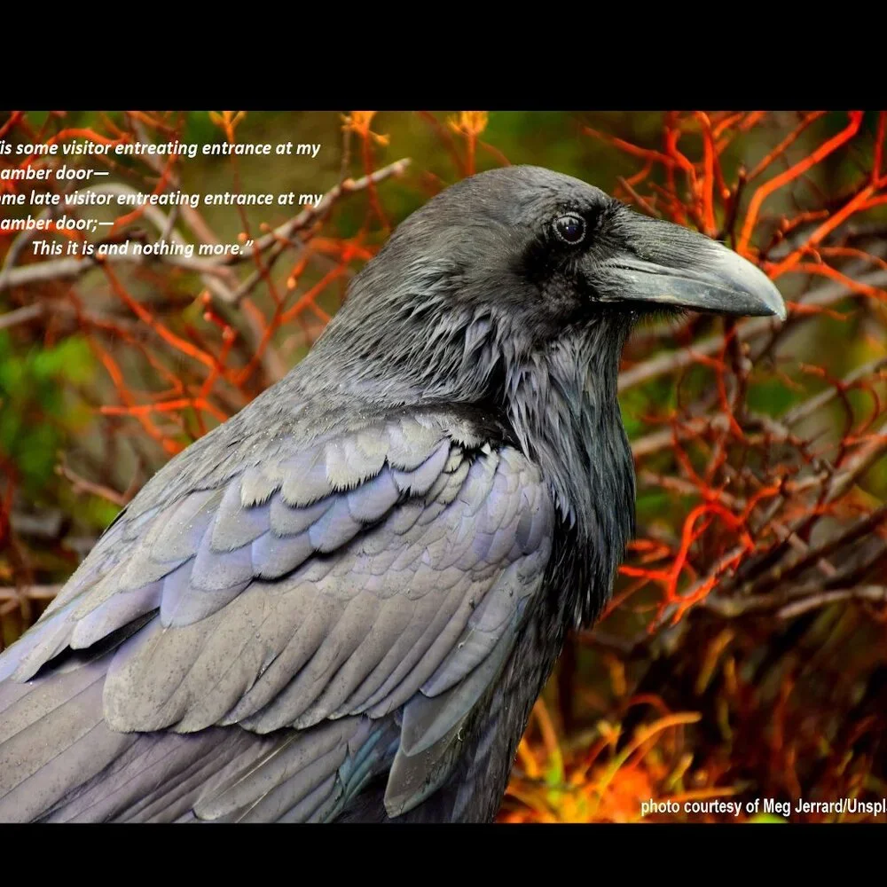 Raven Calendar 2027 Ravens Planner with The Raven by Edgar Allan Poe Poetry